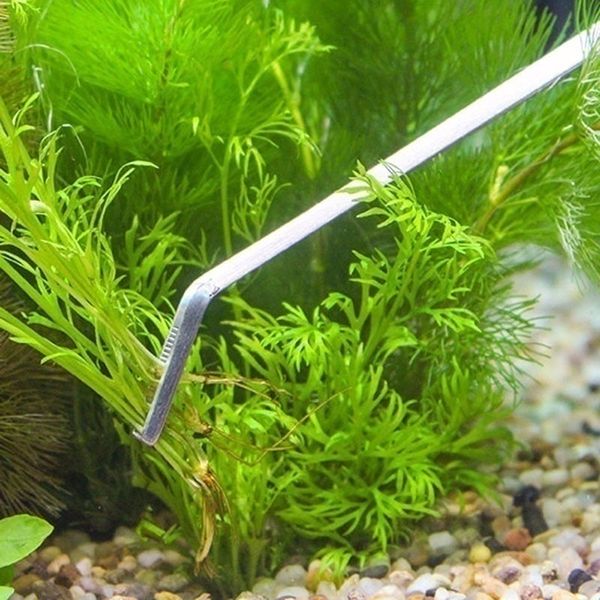 Acquario da 1 pc strumenti per le vasche di pesce vegetale vive impostano le forbici pinzette di ghiaia piastrellatore di vetro per acquario