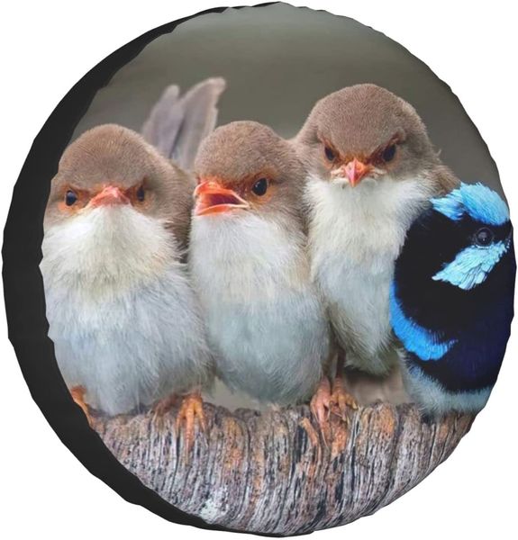 Четыре птицы, напечатанные запасные шины.