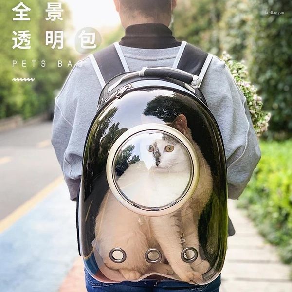 Transportadoras de gatos Bolsa de bola de mochila portátil Pet Dog School Supplies de gaiola