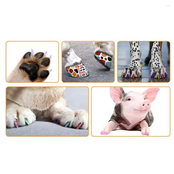 Esmalte de vestuário para cães para animais de estimação, pincel pet arte caneta 12 cores de cachorro rápido de cachorro de cachorro Diy Manicure Small