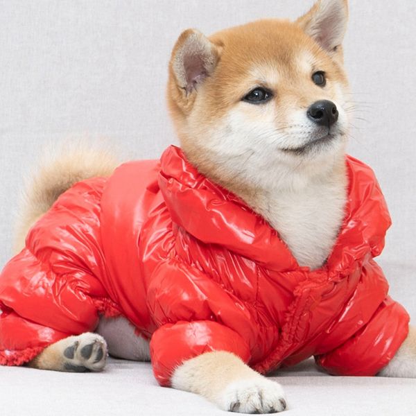 Macacão de gorjeta cães de estimação espessa roupas de inverno impermeabilizadas para cães pequenos chihuahua quente jaqueta de pelúcia roupas yorkie roupas
