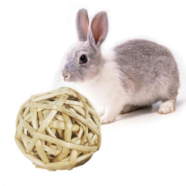 Çiğneme Örgülü Ball Gine Domuz Tavşan Hamster Küçük Hayvan Oyun Pet İnteraktif Çiğneme Oyuncak Doğal Çim Ball Hamster Oyuncak