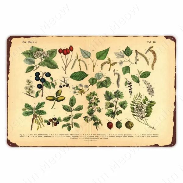 Wilde Blumen Pflanze Vintage Metall Zinnschild Herbarium Kunst Plaque Plakat Gemüse Schild für Bauernhof Garten Küche Haus Wanddekoration