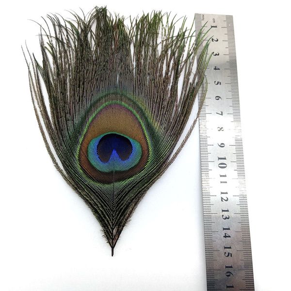 50-200 pezzi Natural Peacock Feathers Eye per gioielli che producono artigianato fai-da-te Dream Catcher Accessori per matrimoni Decorazione del matrimonio10-15 cm