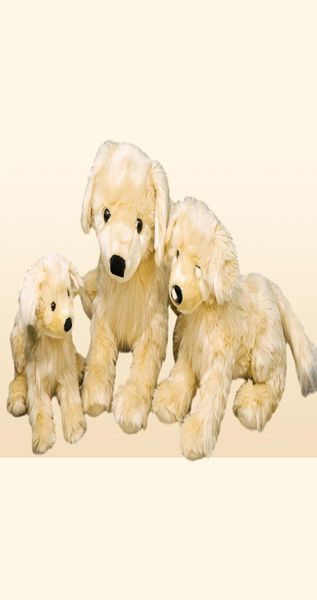 Simulazione animale golden retriever peluche giocattolo grazioso bambola cuccioli di compleanno auto soft decorazione da 50 cm dy509904914731