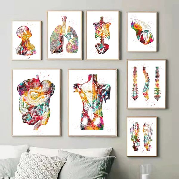 Menschliche Struktur Anatomie Muskeln System Leinwand Gemälde Herz Lungen und Knochen Poster Drucke Medizinische Enthusiasten Wandkunst Geschenk