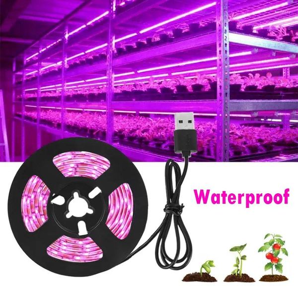 Grow Lights LED Plant Light Spectrum Full Spectrum USB 5V Piante idroponiche Riempimento Lampada IP65 Bolla di crescita impermeabile Cultivazione della luce del sole.