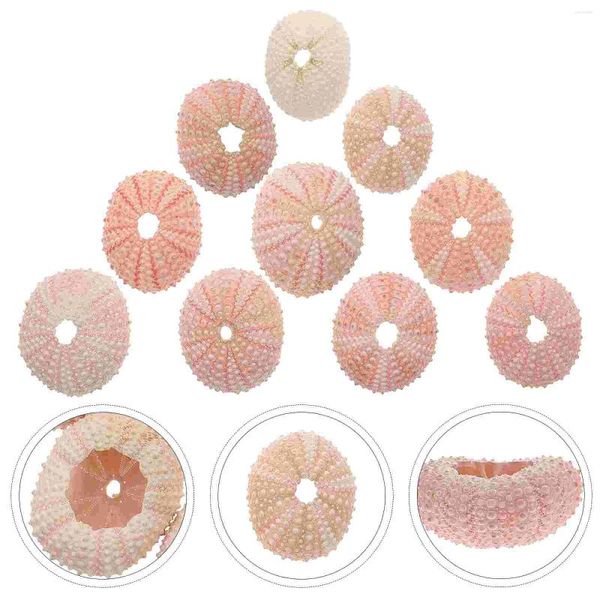 Vasen 10 PCs Blumentopf natürliche Seeigelschalen -Accessoire -Dekoration Ornament