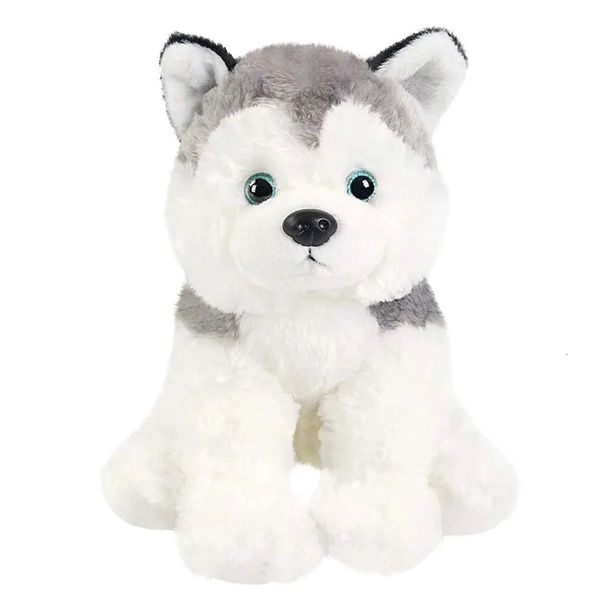 Doll Husky Doll Husky Black Dog Pluguy Toys fofos Almofadas macias PP Algodão de alta qualidade Animais de pelúcia para meninas Presente de aniversário 240411