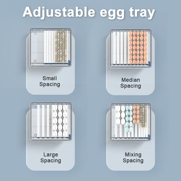 Mini incubatrice di uova con tipo di cassetto, incubatore d'acqua automatico, rifornimento del lettino ionico, controllo della temperatura, 100 uova