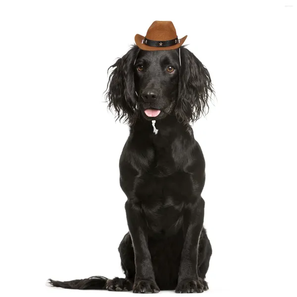 Собачья одежда- костюм смешной шляп аксессуар (кофе случайный цвет бусин)
