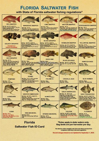 Poster di pesce marino Kraft Poster artistico Picture artistiche Camera alla moda regalo Cool Wall Room Bar Decorative camera da letto