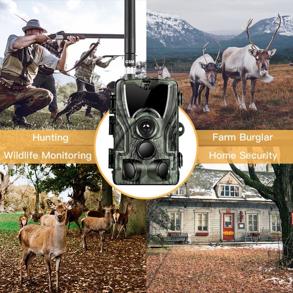 HC801M Wildlife Trail Camera da caccia telecamere a infrarossi fotocamere a infrarossi 2G MMS Foto Video Surveillance 16MP 1080p SMS Night Vision