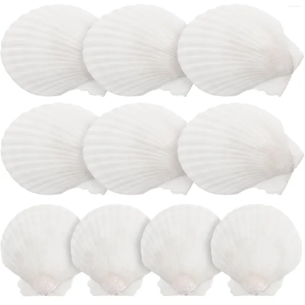 Vasi da 10 pezzi Decorazione a conchiglia naturale Acquario Conch Castino Ornament Beach Seashells Ocean adorna l'artigianato