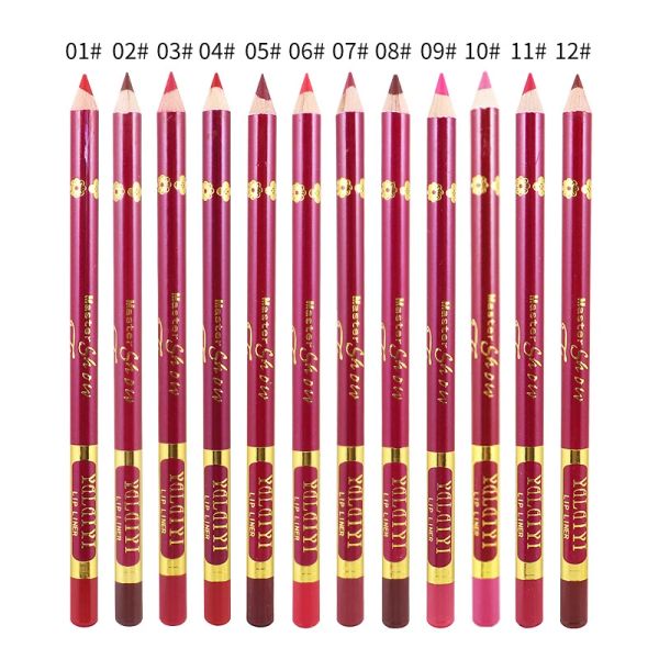 12 Cores Cosméticos Penos foscos de pigmentos duradouros Lady à prova d'água Lady Charming Lip Liner Contour Makeup Lipstick Tool