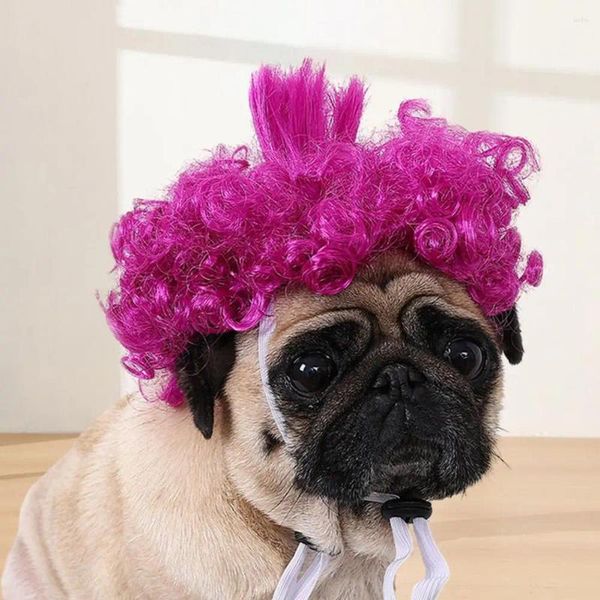 Peruca de gato de vestuário cão perucas de cabelo encaracolado para festas de natal de Halloween