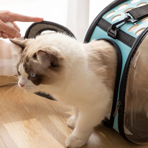 Zaino per animali domestici pacchetti spaziali trasparenti portatili da viaggio esterno sacchetto a doppio utilizzo obliquo obliquo