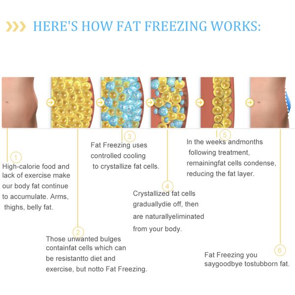 Máquina de emagrecimento do corpo congelando o dispositivo anti -celulite dispositivo de baixa temperatura perda de peso caseira use coxas