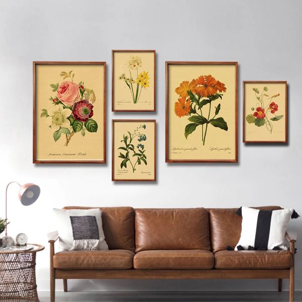 53 вида цветов иллюстрации ретро -плакаты принты винтажные розы эстетические домашние комнаты кафе бар кухня искусство настенные декор картины