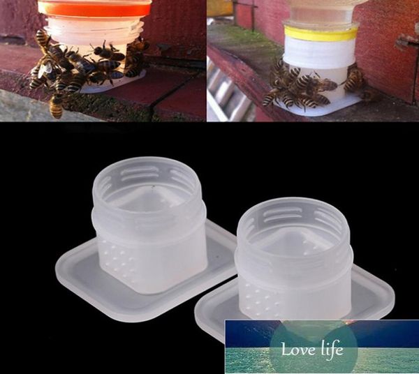 Alimentador de abelhas bebedas de água queen queen potável equipamento de água fácil instalação para ferramentas de apicultura de garrafa de cola 10pcs2555335