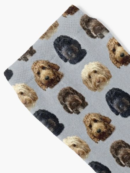 Cockapoo Dog Collectionsocks Socks for Men Anime Socks