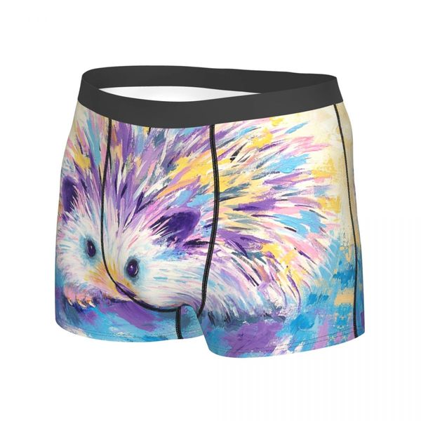 Humor boxeador arco-íris shorts de hedgehog calça de calda de roupa íntima animais de roupa íntima