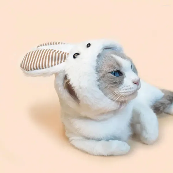 Abbigliamento per cani orecchie di peluche per animali domestici con cappello per animali domestici comodi accessori per accessori gatti cani gatti