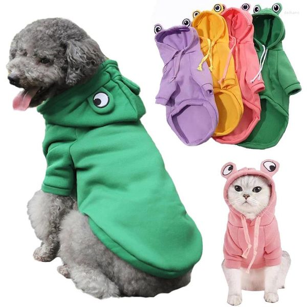 Abbigliamento per cani piccole felpe con cappuccio inverno vestiti caldi rana costume da compagnia per cani gatti felpa chihuahua Yorkies cappotto