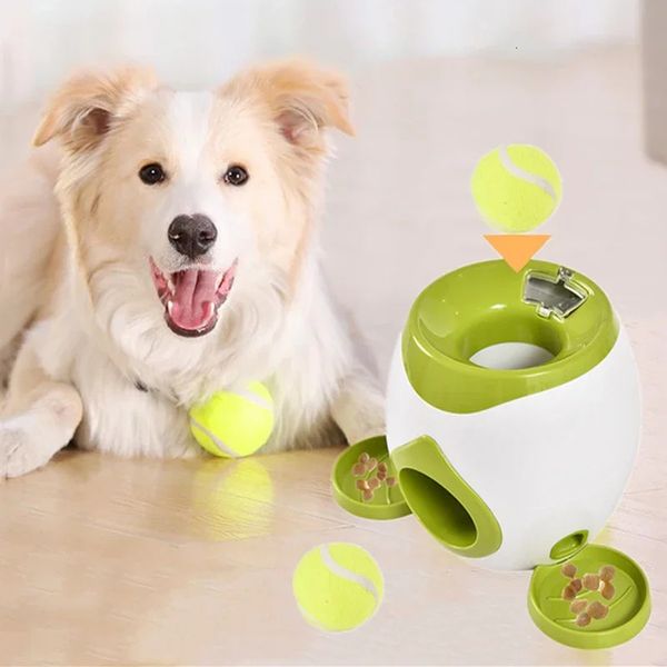 Pet Tennis Food Remage Machine Interactive Ball Launcher Training Slow Toys adatto per gatti e cani Dog Toy 240328