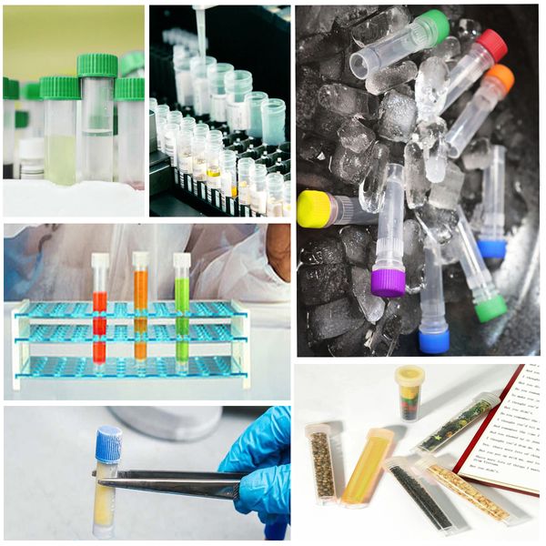 50/100pcs Laboratory 5 ml/2 ml/1 ml tubo di congelatore in plastica, crioviale con guarnizione in silicone, flaccatore del tubo di stoccaggio di laboratorio