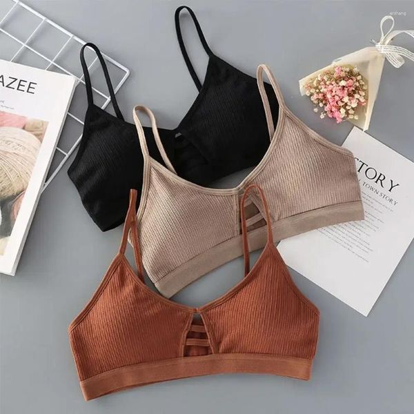 Bras Women Cotton Cotton Sports BRA TUBO TOP CRUPTA CRUPTA FEMANA FEMENTE RECIMENTE RECULHA sem fio Bralette Lingerie Cropped bandeau