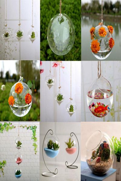 Details über Blumenpflanze Wand hängen klare Glasvase -Flasche Pot Home Garden Ball Decor9744229