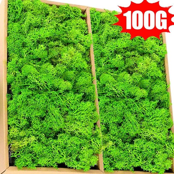 Dekorative Blumen 100/50/30g künstliche grüne Pflanzen Ewige Leben Moss DIY Crafts Mini Landschaft Garten Home Room Dekoration Simulation Simulation