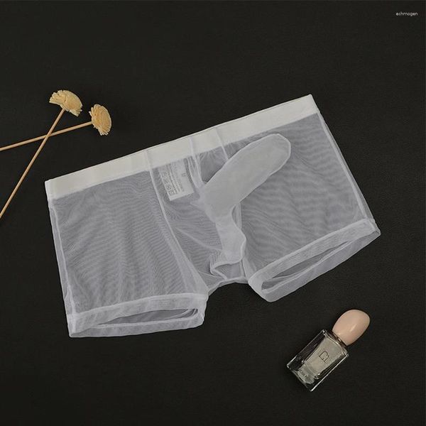 MUITOPANTES MENS MENOS MENINOS MENINOS ATRAVÉS DO MESH PANTES ULTRA FINE TRANSPARENTE BRESUMAS DE BRIEVES SEXIS