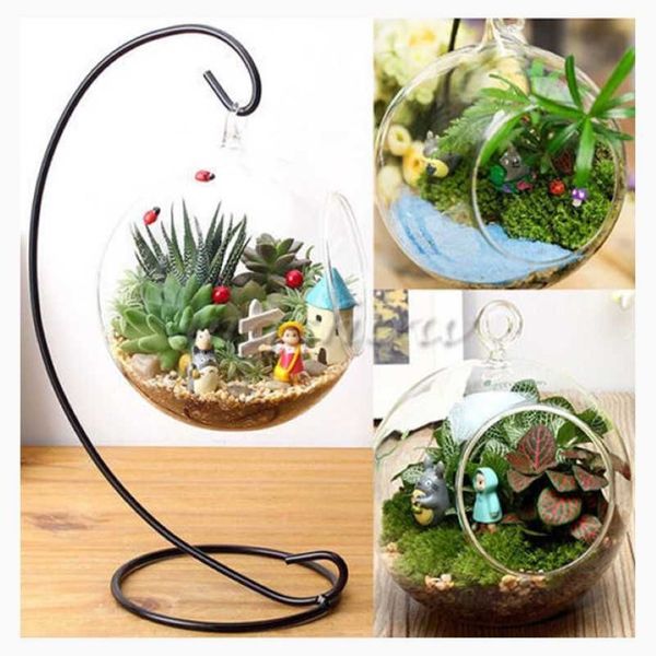 Vasen klare Blumenpflanze Ständer hängende Vase Terrarium Container Glas Hydroponic Home Office Hochzeit Dekor2719