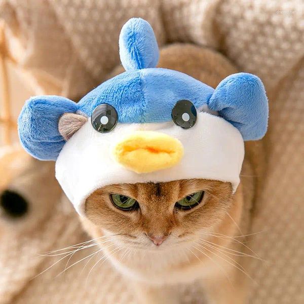 Vestuário para cães pet gato chapéu de gato capacete bomei fa luta cachorrinho acessórios engraçados