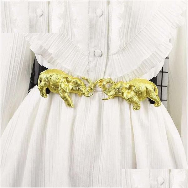 Cinture con fibbia oro cintura femminile femminile pavone design di lusso casual corsetto girdle goth retro semplice semplice versatile elastico girovase dhphm