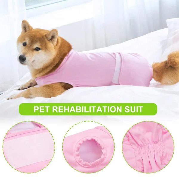 Roupas de recuperação de pet de vestuário de cachorro