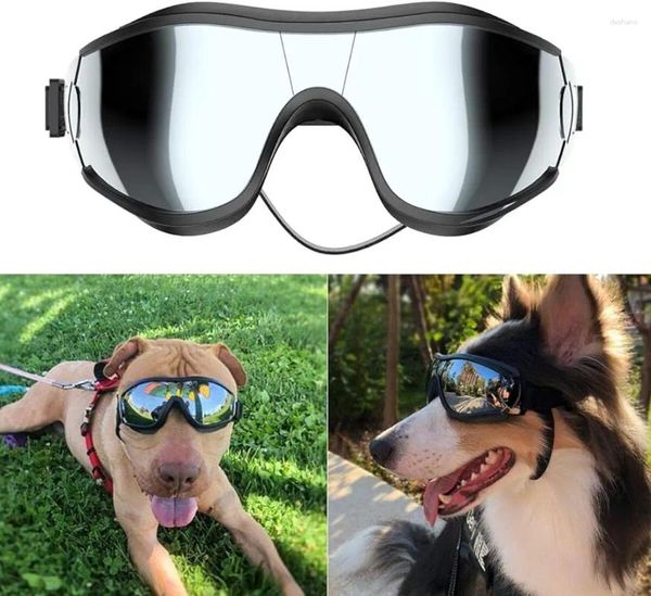 Abbigliamento per cani Klym Goggles Verve/polvere/nebbia vetri per animali domestici con cinturino regolabile per medio o grande (confezione di 1)