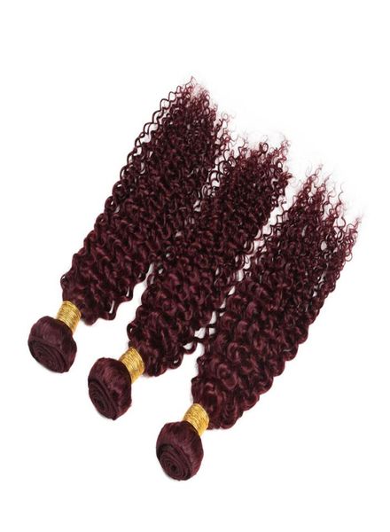 Borgogna Vergine Indian Capelli ricci viziosi vizili Vino rosso 9A Vino non trasformato Capelli vergini rossi 99J Capelli umani ricci stravaganti 1030inc5136034