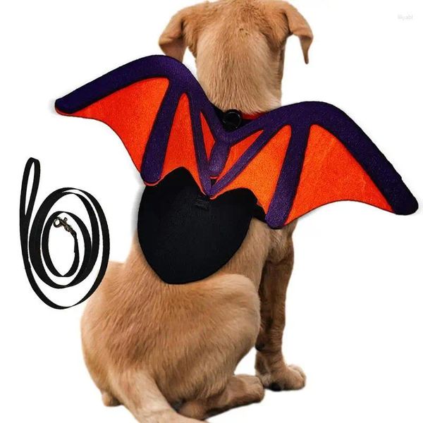 Abbigliamento per cani ali di pipistrello gatto costumi sentiti con il guinzaglio comodo compagno di cosplay di Halloween party vestita per