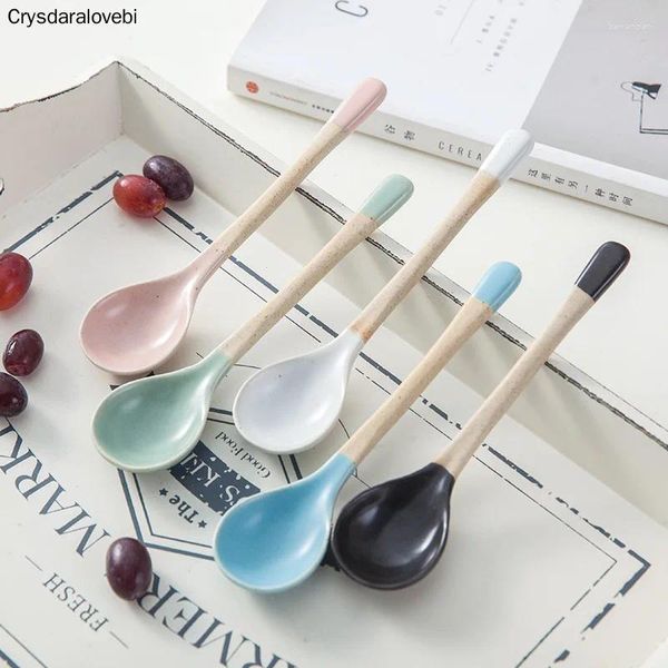 Cucchiai 5pcs/set Multicolore Utensile da cucina Sough Toothuon Catering per Kicthen Dessert Spoon Candy Colours Rice Rice