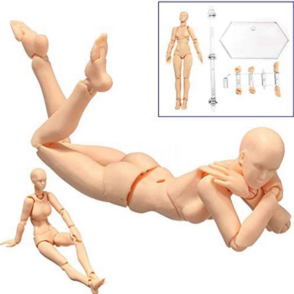 Body Doll, Künstler Manikin Blockhead Gelenkschannin Zeichnung Figuren männlicher+weiblicher Set