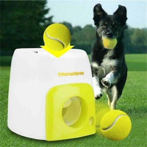 Dog Tennis Ball Thrower Pet Toys Toys Automático Máquina Recompensa de Dentes de Chew Lançador Play Toy 211111278n