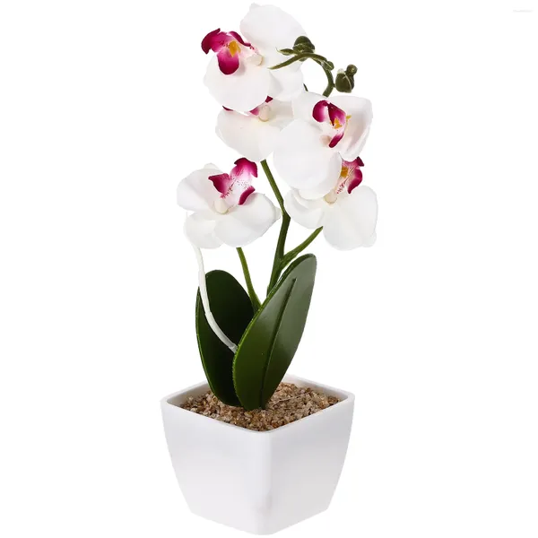 Flores decorativas Phalaenopsis orquídeas falsas em vasos de plástico de adorno simulado de maconha