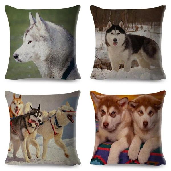 Kissen Siberian Husky Cover für Sofa Home Chidren Zimmer Dekor süße Tierhundkissenbezug 45 45 cm Polyester Hülle