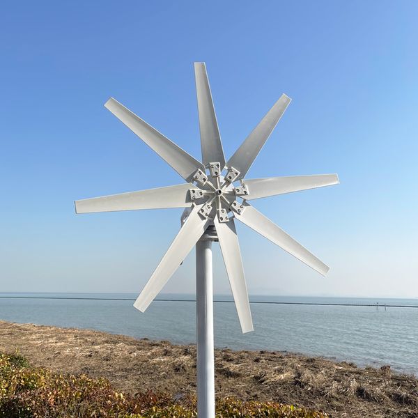 Generatore di turbina eolica da 3000W 12V 24V da 48 V con 5 pale orizzontale Generatore di turbine a vento a vento orizzontale Carica per uso domestico per uso domestico