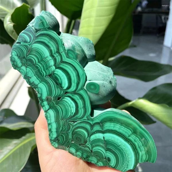 Figurine decorative per gemma naturale Piatto di cristallo in cristallo Malachite in pietra Decorazione spirituale e patatoschetta Magic Magic Rune Healing 1pc