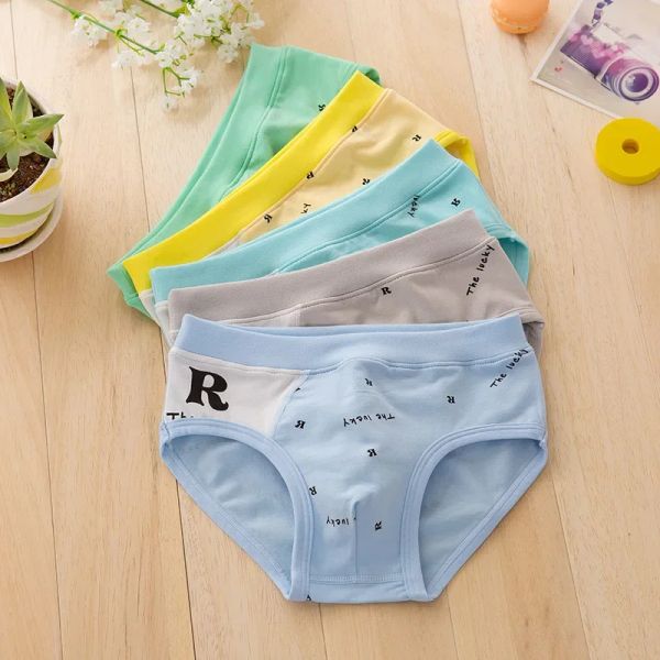 Shorts 5 PCs/Lot Boys Briefs Unterwäsche Unterwäsche Bio -Baumwollshorts Höschen Kinder 212 Jahre