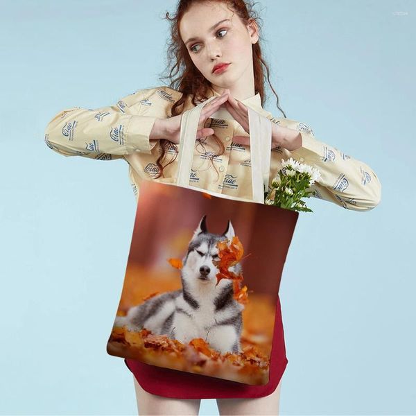 Einkaufstaschen Siberian Husky Collie Frauen tte Schulter Handtasche wiederverwendbar faltbar beide sieben STEILE MODE HOG TIER TIVE TAIL Tasche